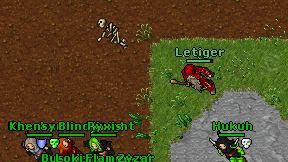 Letiger on screen