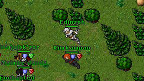 Edinzon on screen