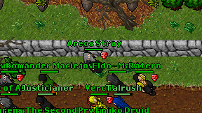 Areos Stray on screen