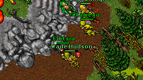 Ecitsia on screen