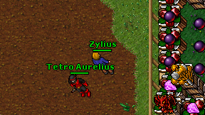 Zylius on screen