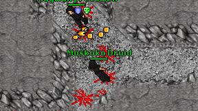 Moskoko Druid on screen