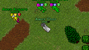 Amer Thor on screen