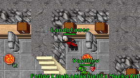 Landotawer on screen