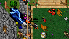 Lulle on screen