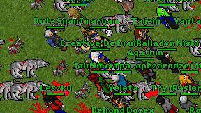 Creative'De Druid on screen