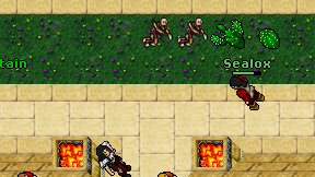 Sealox on screen