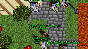 Medievial Angel on screen