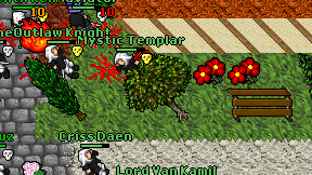 Mystic Templar on screen