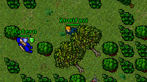 Zowifazi on screen