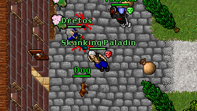 Skanking Paladin on screen