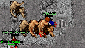 Aleoxx on screen