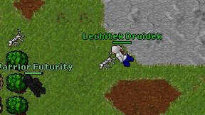 Lechitek Druidek on screen