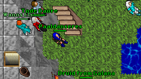 Paaldanseres on screen