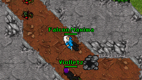 Falcon Maxima on screen