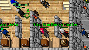 Sharki maxi on screen