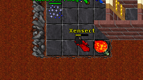 Xensect on screen
