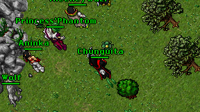 Chunguita on screen