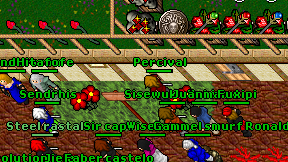 Percival on screen