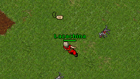 Lazachina on screen
