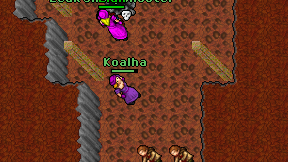 Koalha on screen