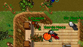 Lycanus on screen