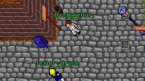 Derm xelon on screen