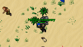 Motocrossowy on screen