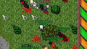 Palikkax on screen