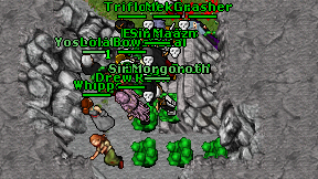 Cabbage Druid on screen