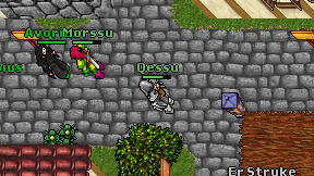 Qessu on screen