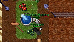 Master Walers on screen