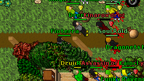 Fioterra on screen