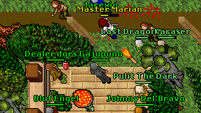 Master Marian on screen
