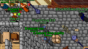 Fighting Elf on screen