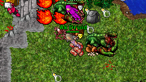 Ak Druid on screen