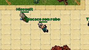 Macaco sem rabo on screen