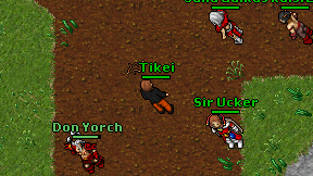 Tikei on screen