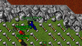 Gaius Hero on screen