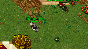 Hodgard on screen