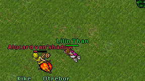 Lilin Than on screen