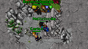 Bevios on screen
