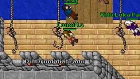 Conxilta on screen