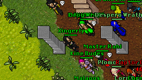 Xingerly on screen