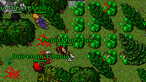 Pepin Phoretus on screen