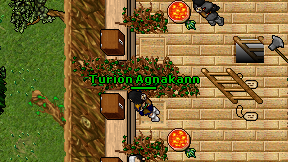 Turion Agnakann on screen
