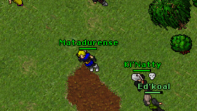 Matadurense on screen