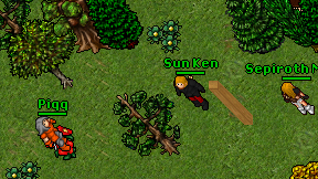 Sun Ken on screen