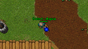 Saint-Aqua on screen