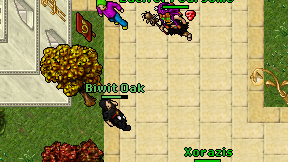 Biwit Oak on screen